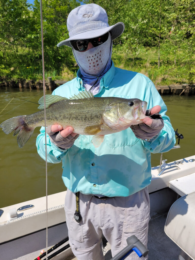 https://indianheadcharters.com/wp-content/uploads/2021/05/Daves-Bass-768x1024.jpg