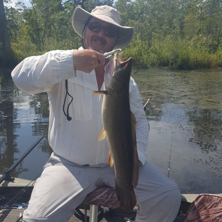 bowfin